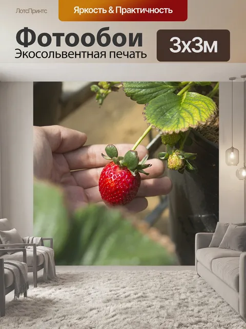 Фотообои Клубничный