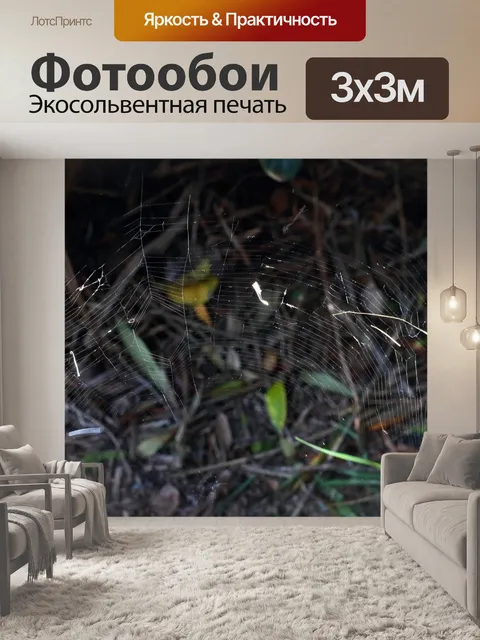 Фотообои концентрическая паутина в саду