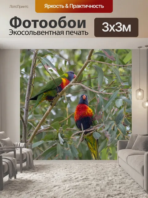 Фотообои Попугай