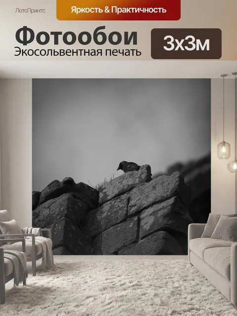 Фотообои птица