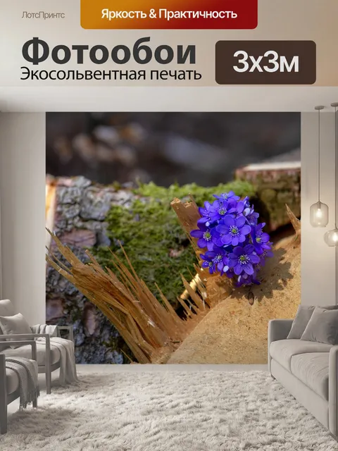Фотообои Цветок