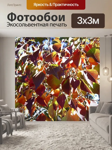 Фотообои Лист