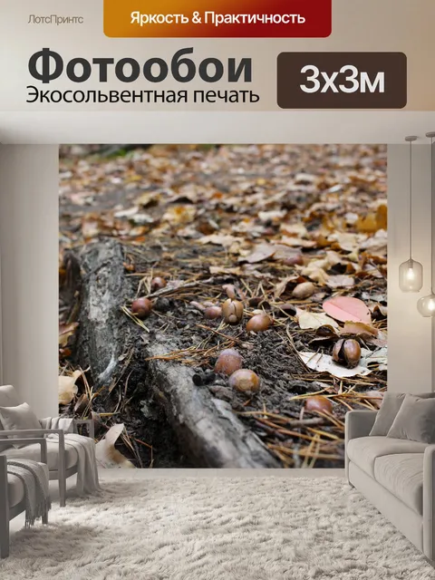 Фотообои Падение