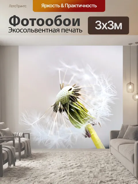 Фотообои Одуванчик