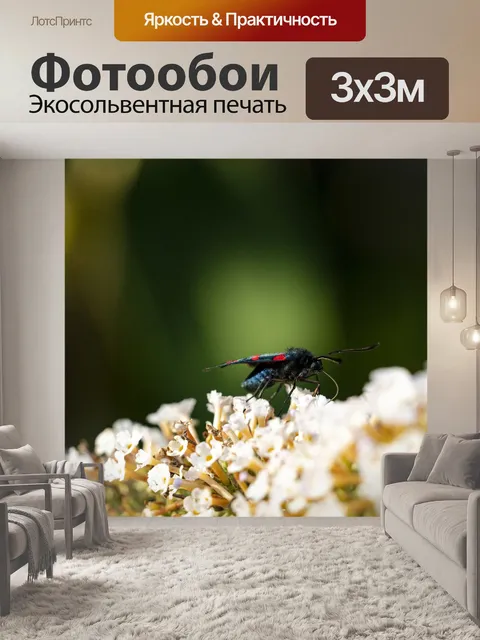 Фотообои Бабочка