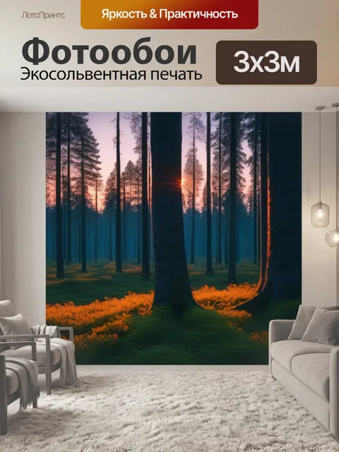 Фотообои лес в вечерних красках заката