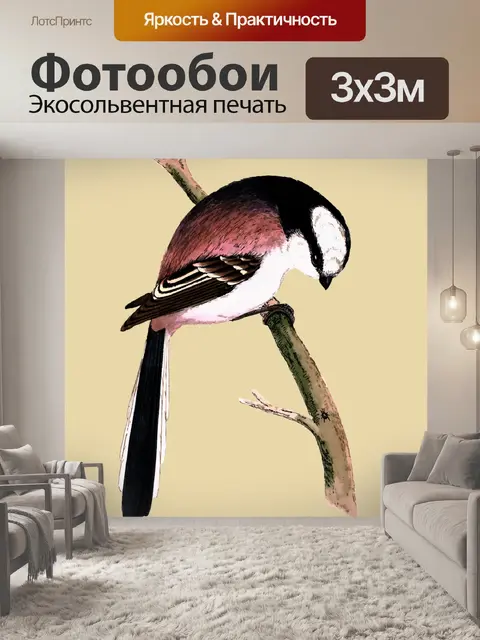 Фотообои Птица длиннохвостая синица