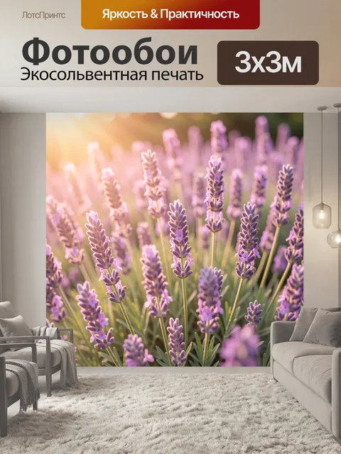 Фотообои Лавандовое поле в закатном свете