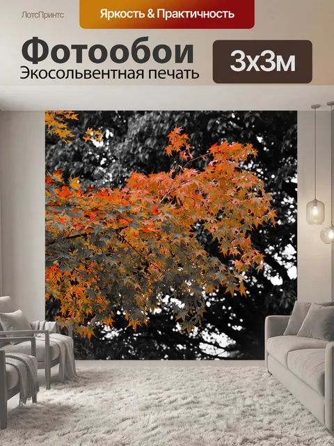 Фотообои Клен