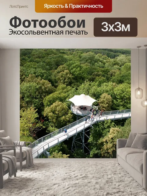 Фотообои Лес