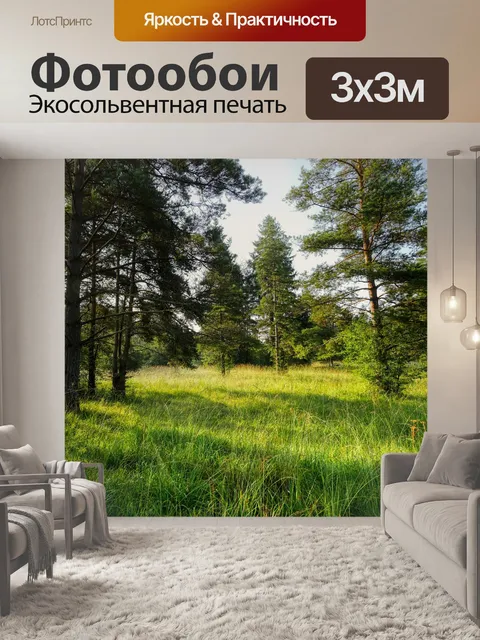 Фотообои Лес