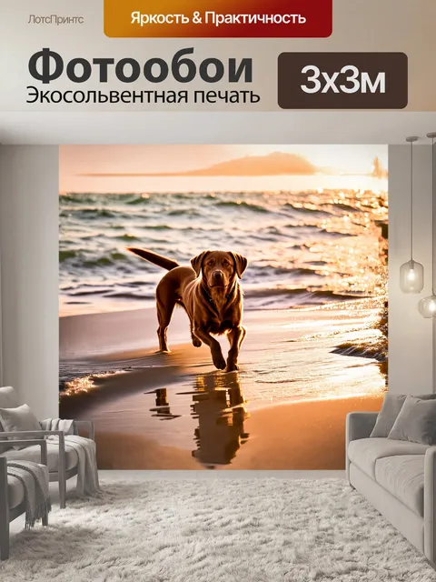 Фотообои лабрадор браун, играющий на пыльном пляже, охваченный мягким светом заката