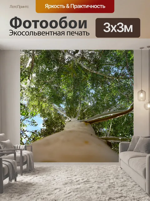 Фотообои Лес