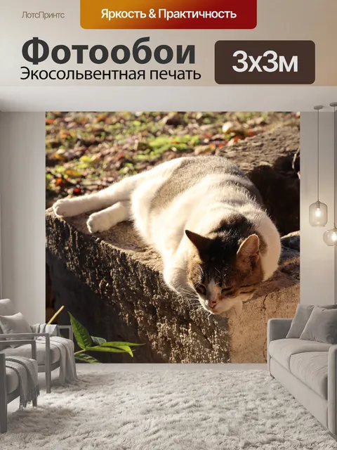 Фотообои Кошка