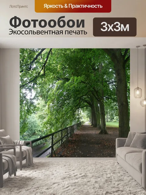 Фотообои Аллея