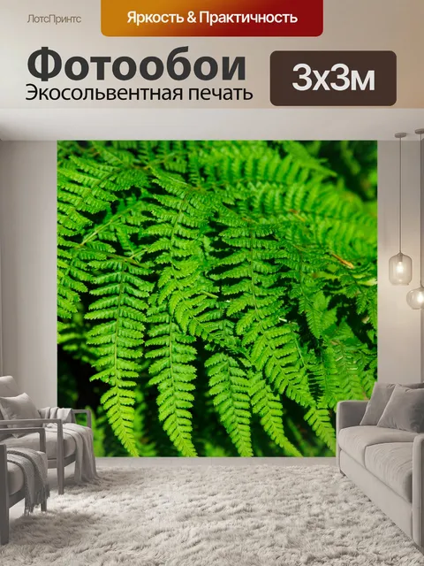 Фотообои папоротник
