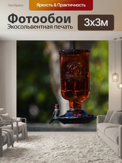 Фотообои Колибри на фидере