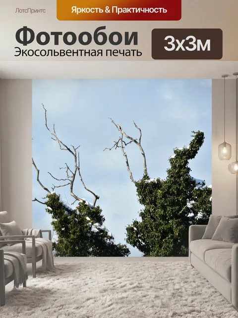 Фотообои Дерево