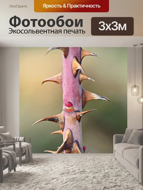 Фотообои Шипы
