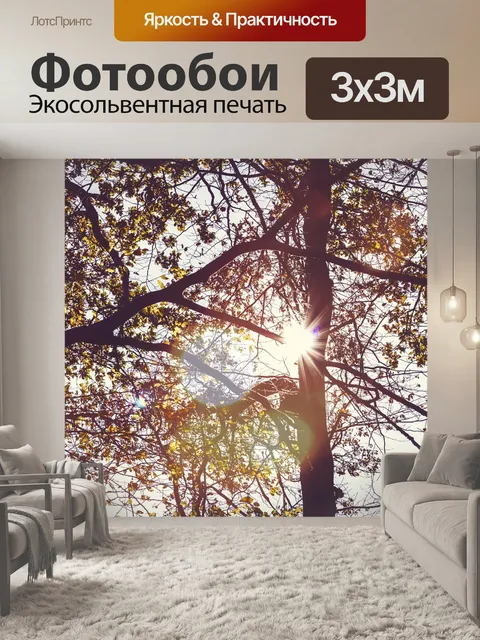 Фотообои Падение