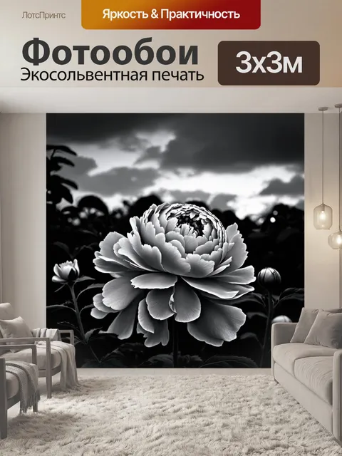 Фотообои пионы в черно-белом стиле