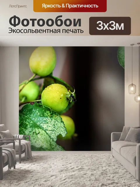 Фотообои Ягоды