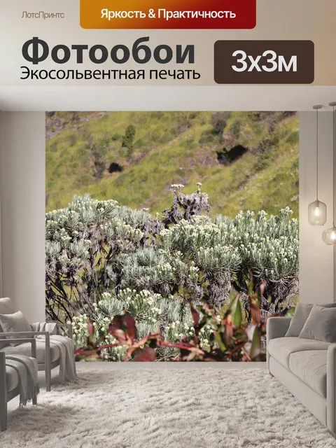 Фотообои Цветы
