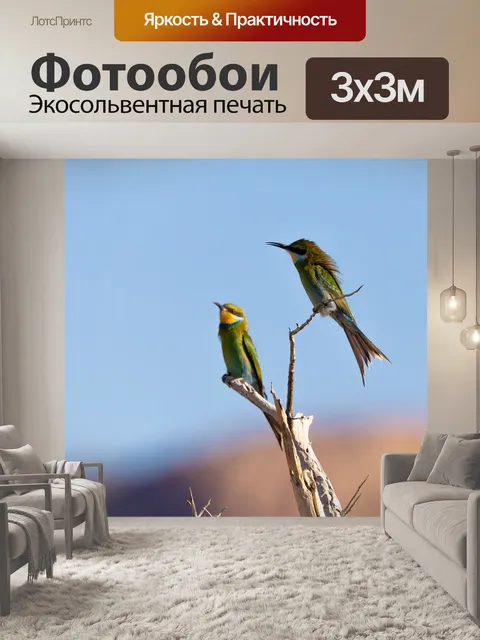 Фотообои Золотистая щурка