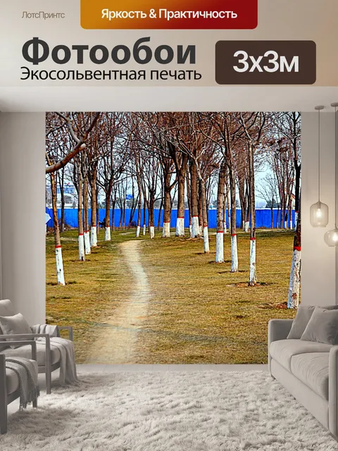 Фотообои Путь через деревья