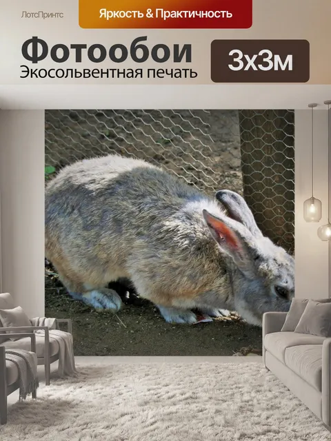 Фотообои пушистый серый кролик