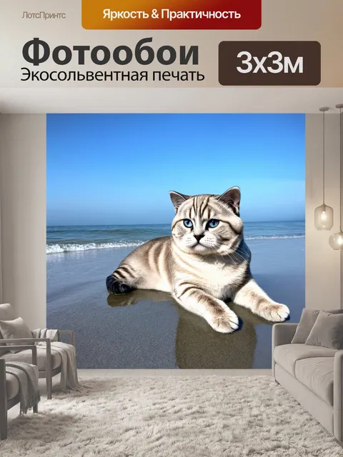 Фотообои шотландская вислоухая лежит на краю синего морского берега