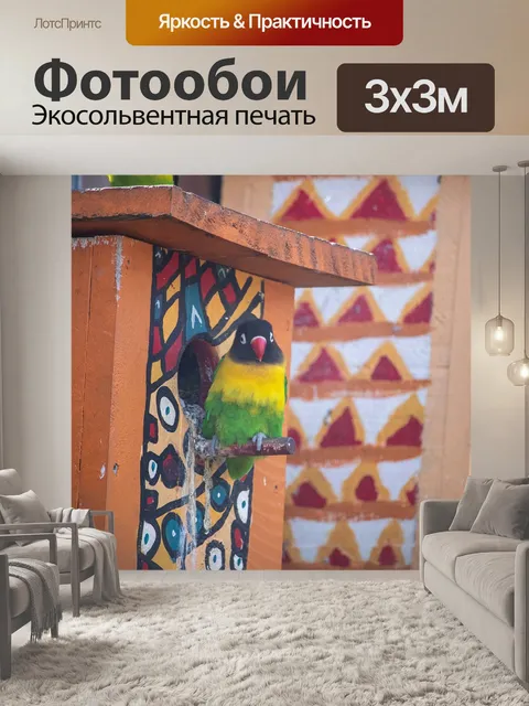 Фотообои Птица