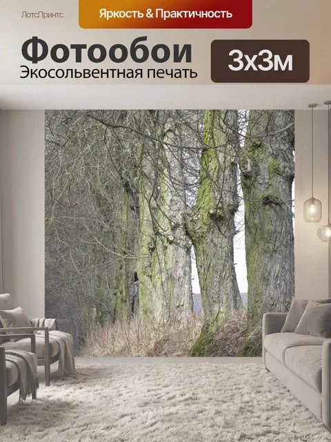 Фотообои Путь