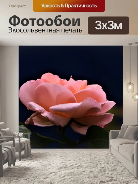 Фотообои Розы