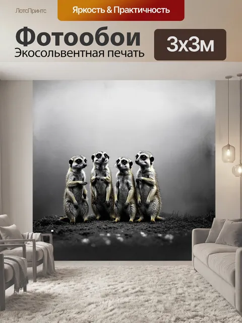 Фотообои семья сурикатов, собравшаяся в окружении поднимающегося тумана, образующего утреннюю дымку