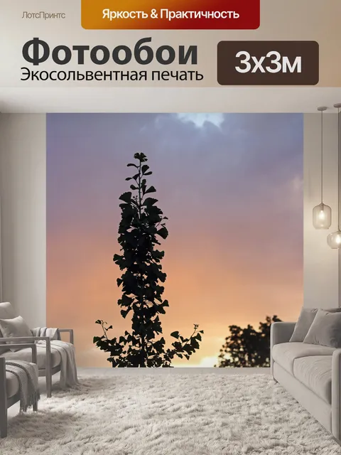 Фотообои силуэт дерева гинкго билоба