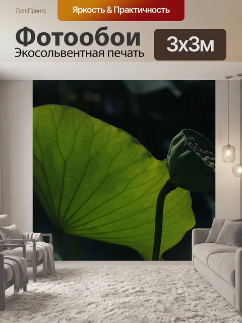 Фотообои Летающий змей