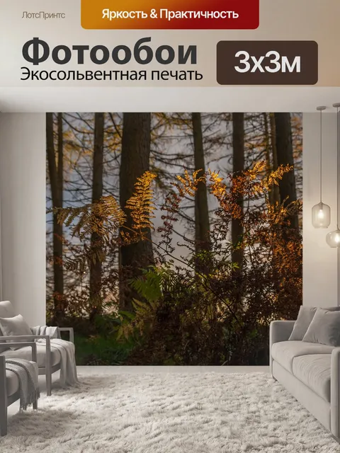 Фотообои Лес