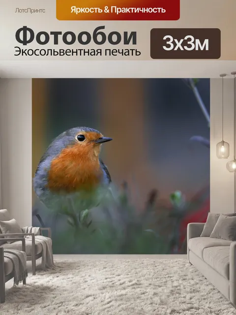 Фотообои Природа