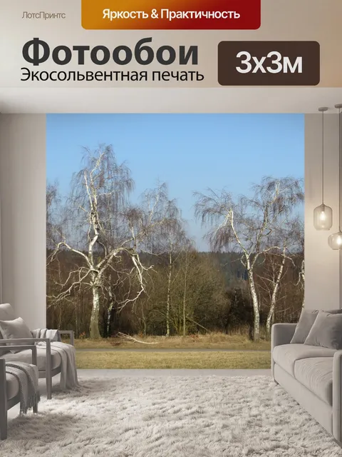 Фотообои Сломанный березы