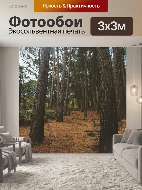 Фотообои Лес