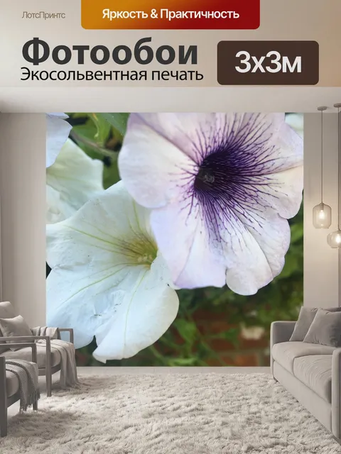Фотообои Белый