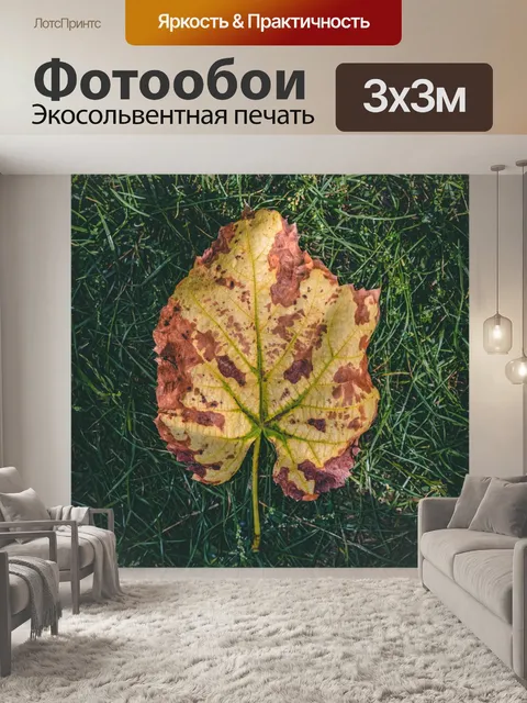 Фотообои Листья