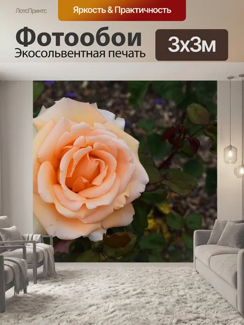 Фотообои Пастель