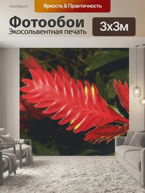 Фотообои Цветочные изображения фона