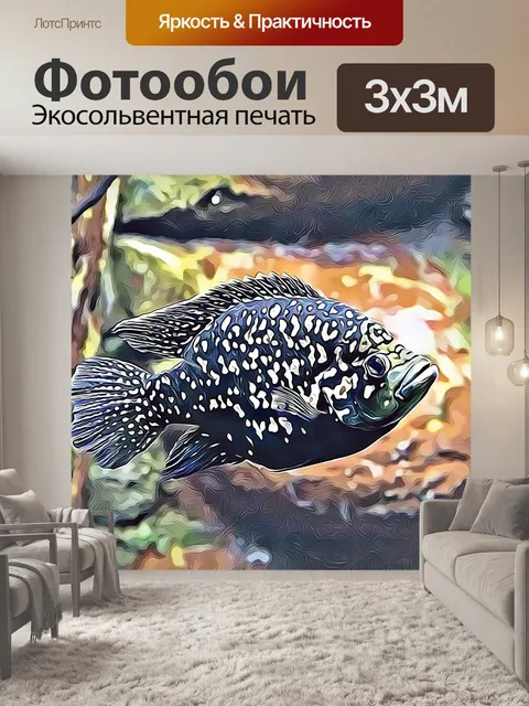 Фотообои Рыба