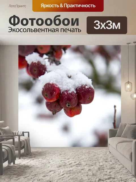 Фотообои Снег покрыл яблоко