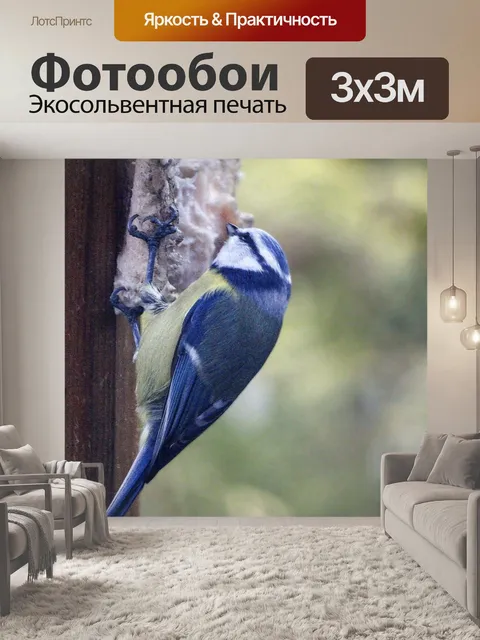 Фотообои Птица