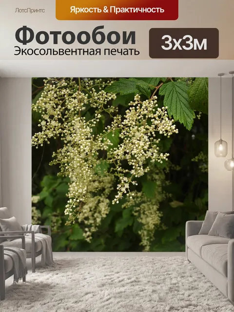 Фотообои Белый