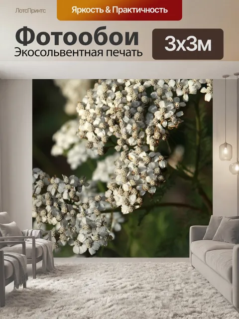 Фотообои Цветок